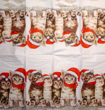 155 Cats - 3-ply - Ambiente